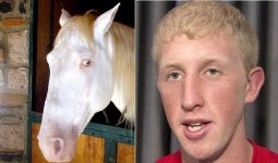 Glennon.jpg