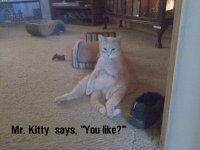 IMG_20130502_080348.jpg