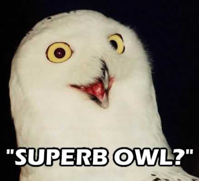 SuperbOwl