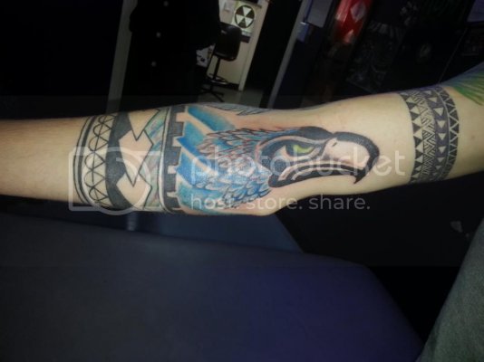 Seahawk Seahawk