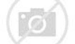 ThidHA71958795374pid1 ThidHA71958795374pid1