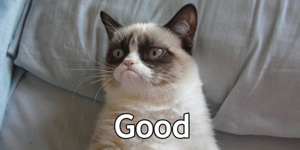 Tb078f5 GrumpyCatGood