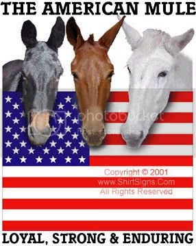 Mules zps975cf6e1