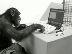 Monkey on computer