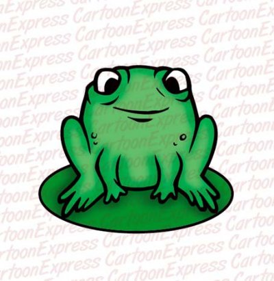 Toad