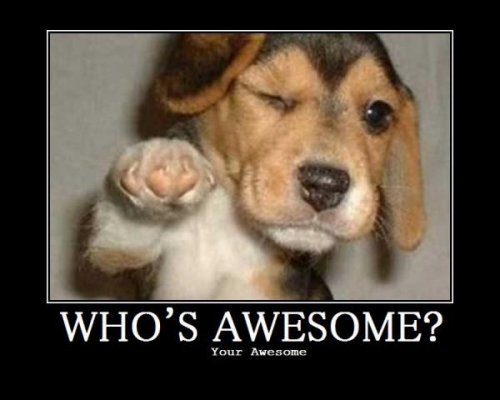 Whos awesome