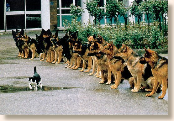 Self confidence