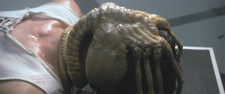 Alien The Facehugger