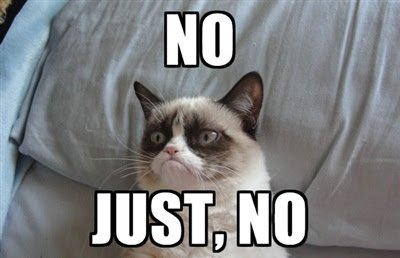 Grumpy cat saying no4