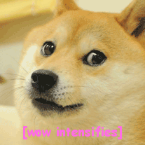 Tumblr msdmk6vpaG1sh7u1yo1 250