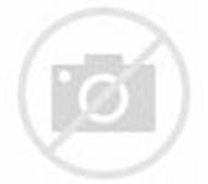 HidH4976777347206360w191h169c7rs1pid1