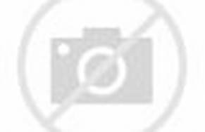 HidH5007894395947199w291h188c7rs1pid1 HidH5007894395947199w291h188c7rs1pid1
