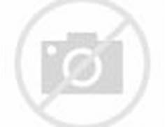 HidH4803827669139541w236h181c7rs1pid1