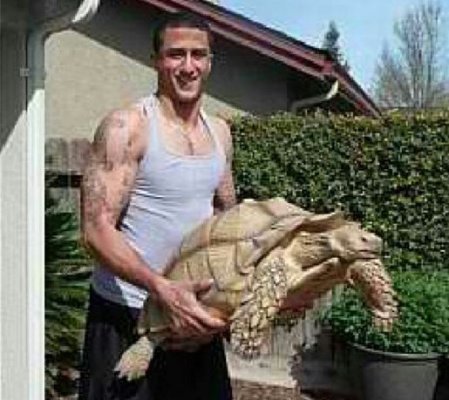 Colin Kaepernick pet tortoise