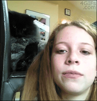 Tumblr myn6k37FAB1qdlh1io1 400