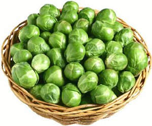 Brussels sprouts01