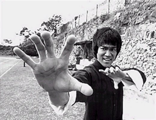 Bruceleepalmistry