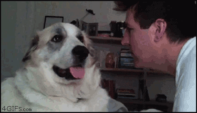 Dog Slaps Man in Face