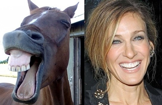 Sarah jessica parker horse teeth