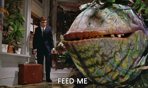 Feed me little shop horrors