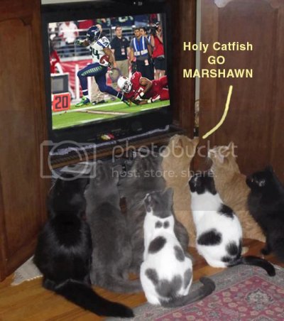 KITTEHSWATCHINGMARSH zpsa8c81fec KITTEHSWATCHINGMARSH zpsa8c81fec