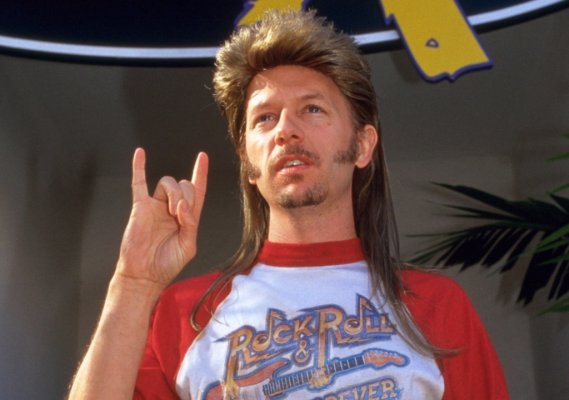 Joe dirt