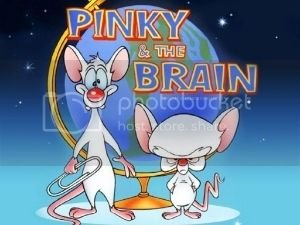 Pinky And The Brain zps545rgvz9