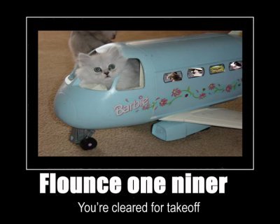 Flounce oneniner