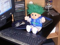 Troll Doll 001.jpg