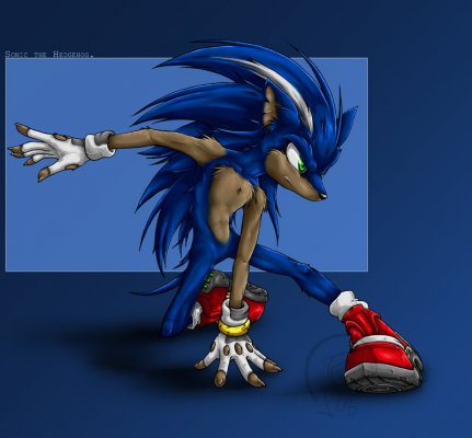 Onic the Hedgehog sonic characters 2210262 800 743