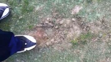 Robinsonfedexturf113a Robinsonfedexturf113a