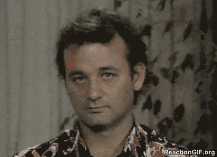 D bill murray chuckle funny laugh laughing LOL GIF