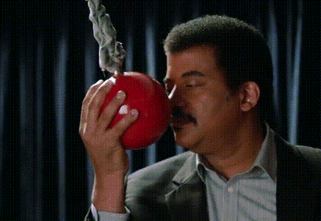 Giphy Giphy