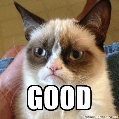 Grumpy cat says good 1440109287