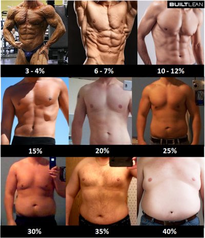  percentage pics men women body fat percentage men