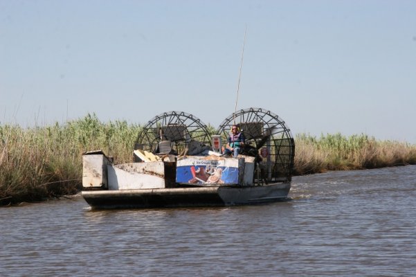 Airboat jpg