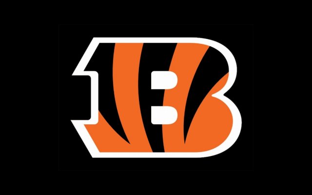 Cincinnati bengals b 2560x1600