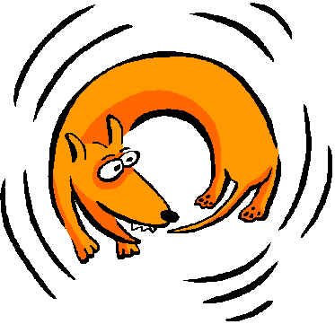 Dog chasing tail Dog chasing tail