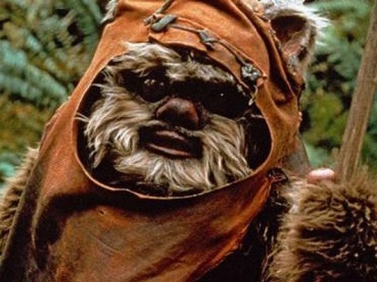 Ewok 700x525