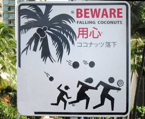 A99118 fell sky 7 coconut