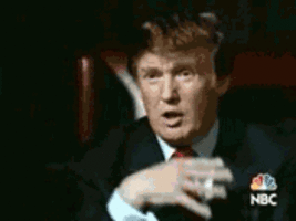 Donald trump youre fired gif 2