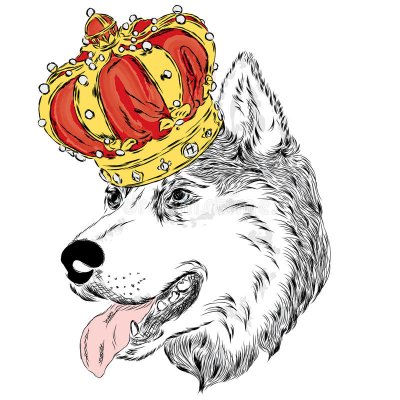 Husky crown vector illustration cute dog 84481270