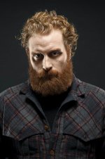 0df65e18e94434b56c4f6b781266d19d--red-beard-ginger-beard-600x901.jpg