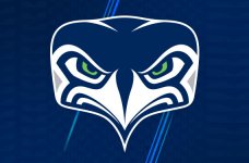 Seahawks-New-Logo.jpg