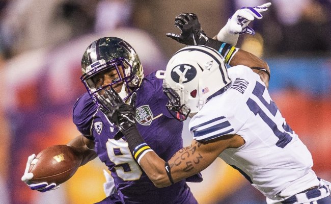 Huskies GALLERY Huskies GALLERY