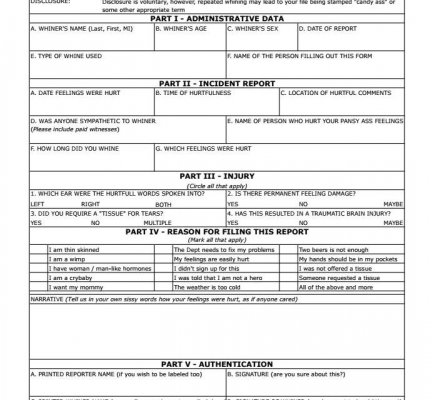 Lombardy Elementary Hurt Feelings Report Lombardy Elementary Hurt Feelings Report