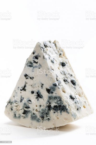 Ece of french roquefort cheese picture id171571336