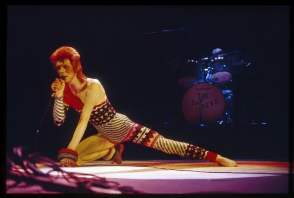 Ziggy 73  a