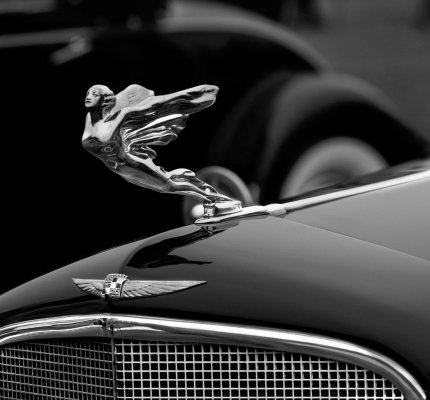 Hood Ornament 4