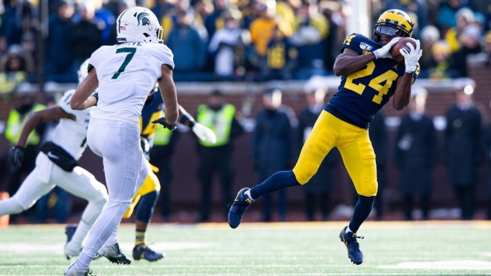 FBL19 MSU 584 FBL19 MSU 584